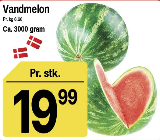 Vandmelon – produktbillede