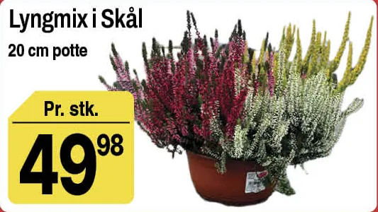 Lyngmix i Skål