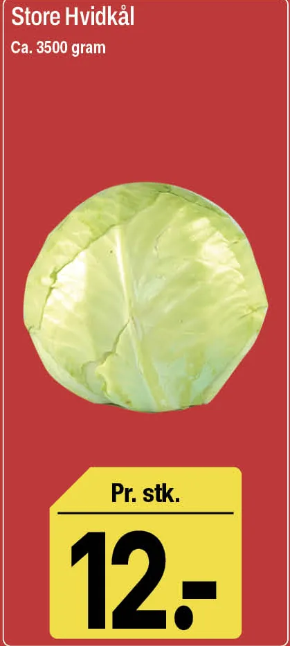 Store Hvidkål – produktbillede
