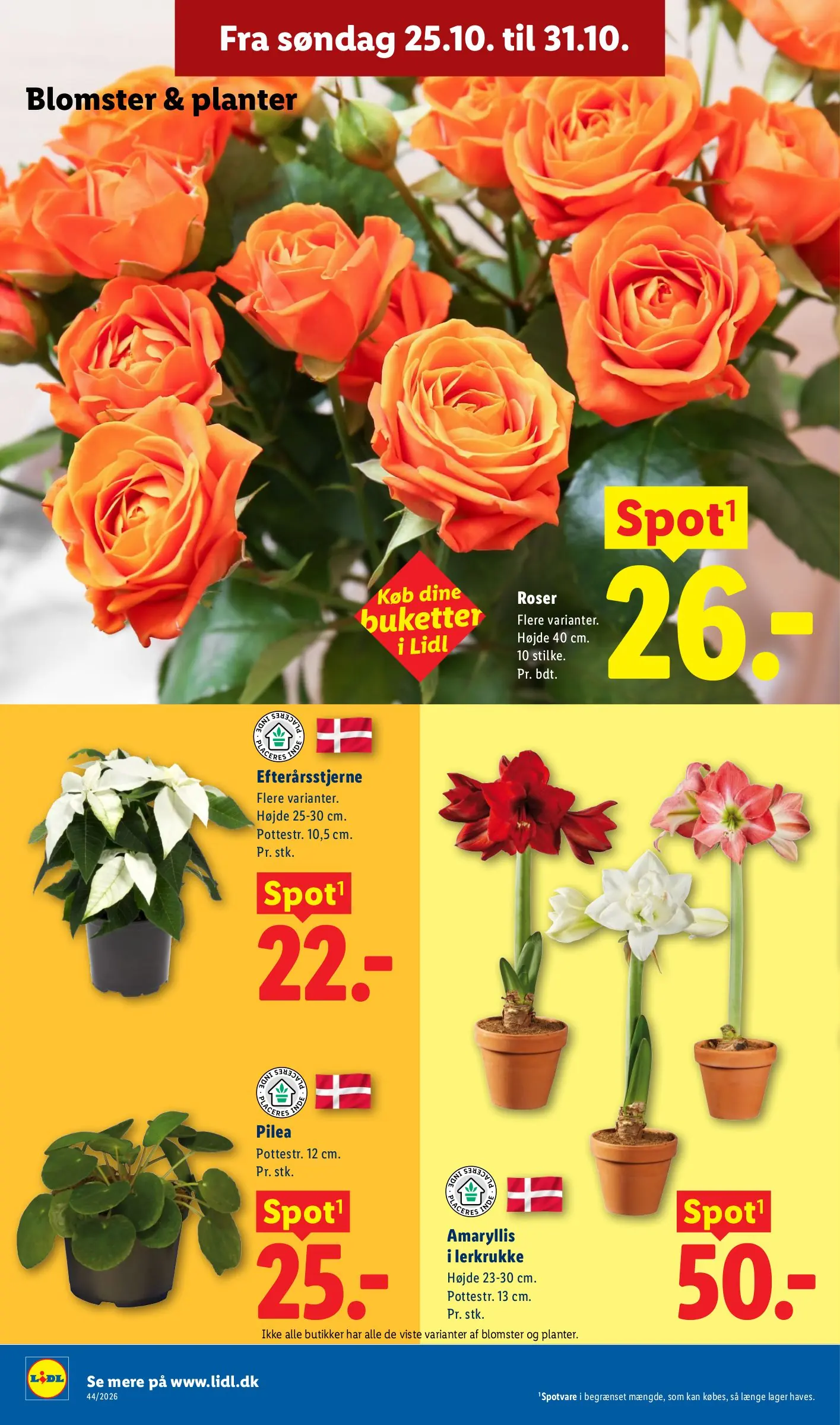 Lidl tilbudsavis, side 34