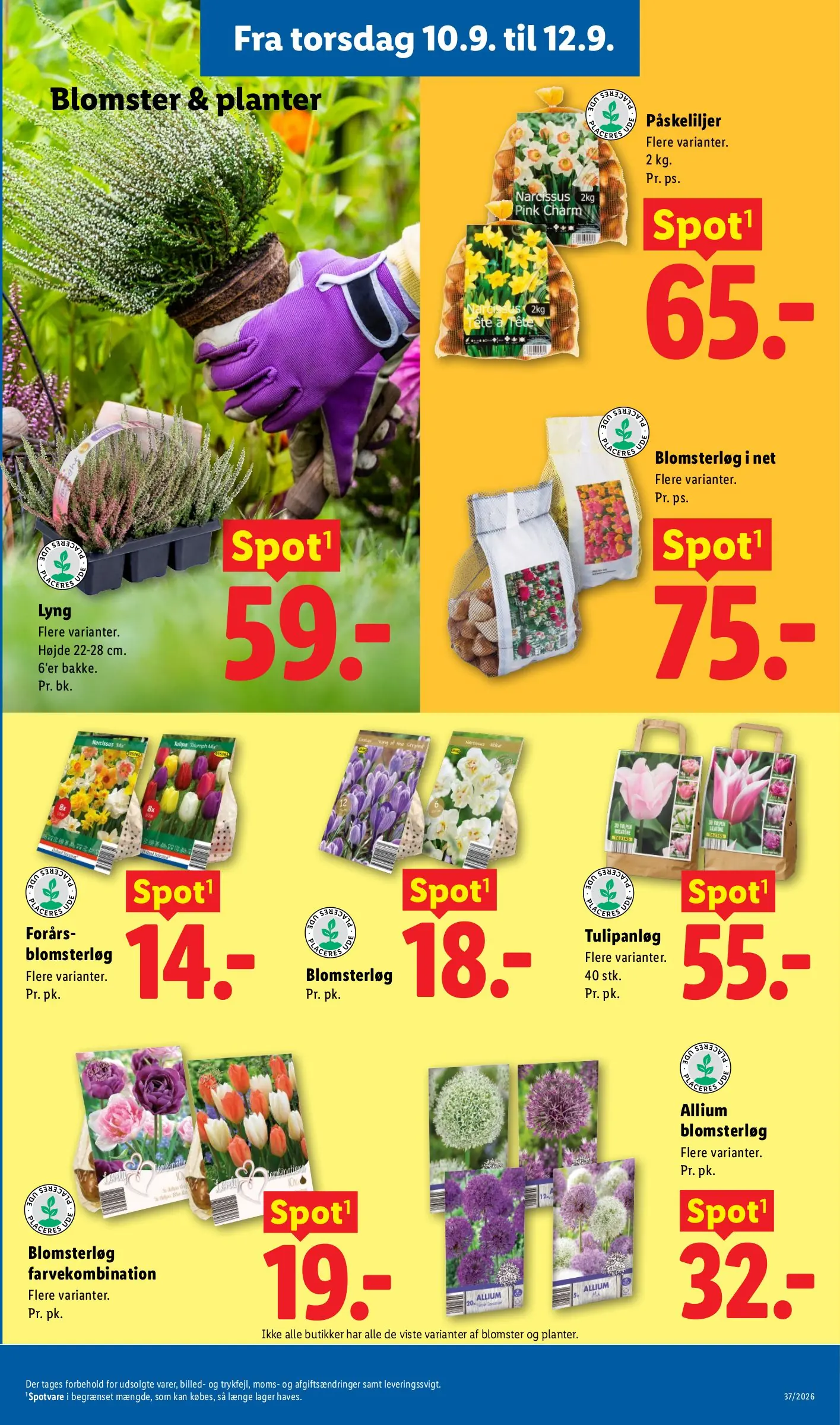 Lidl tilbudsavis, side 33