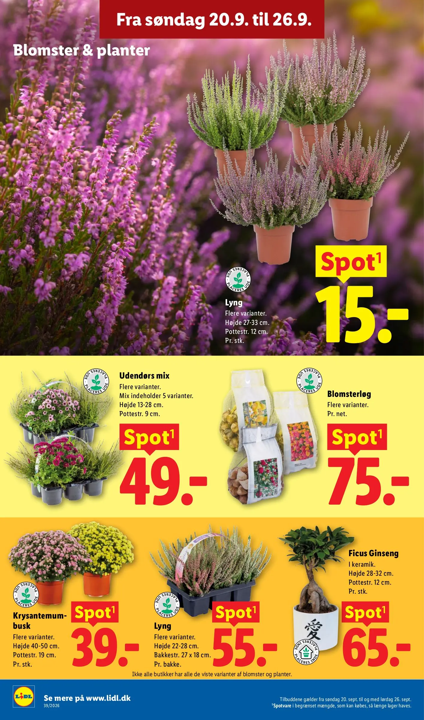 Lidl tilbudsavis, side 36
