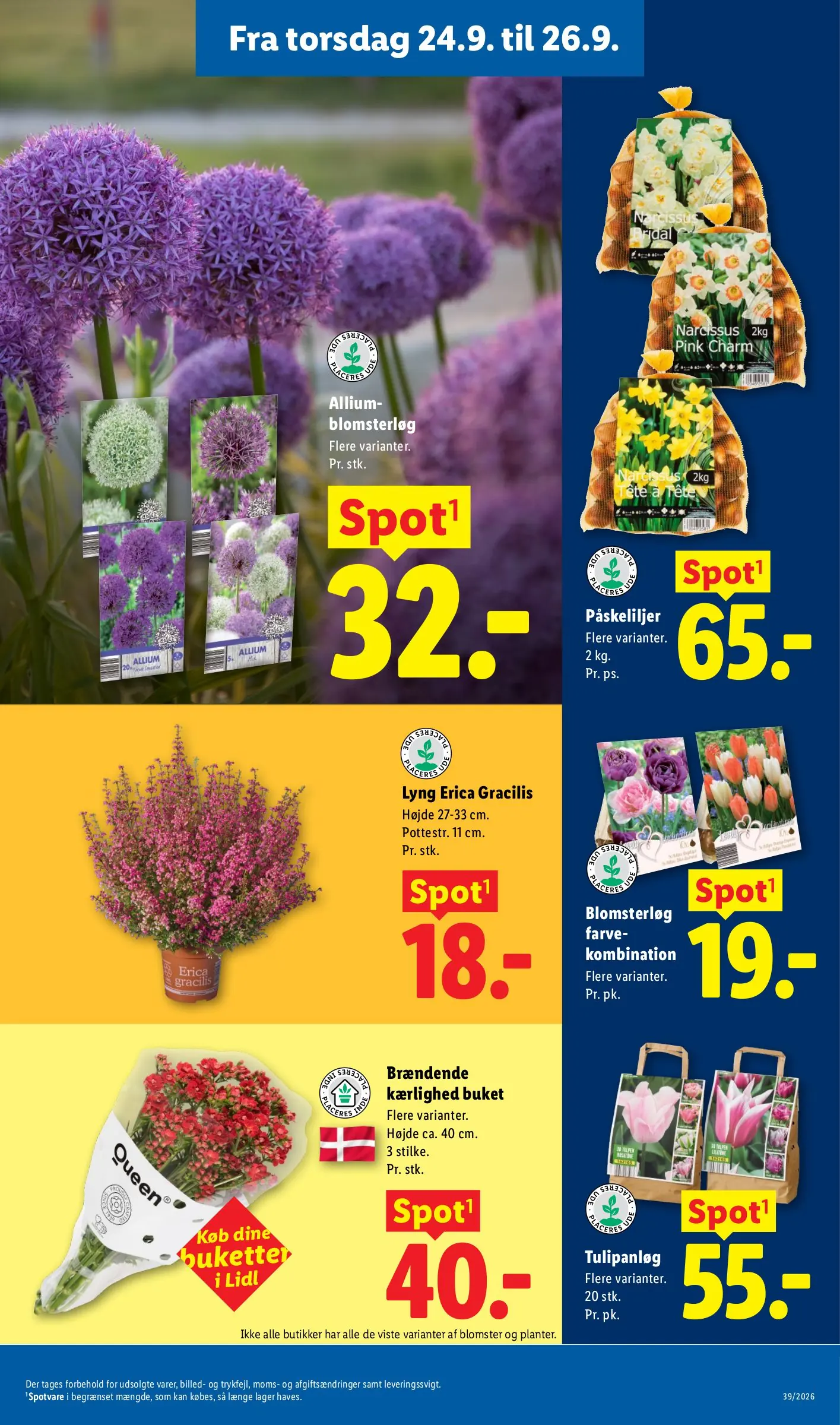 Lidl tilbudsavis, side 37