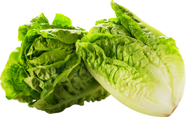 ØKO ÄNGLAMARK HJERTE SALAT DK