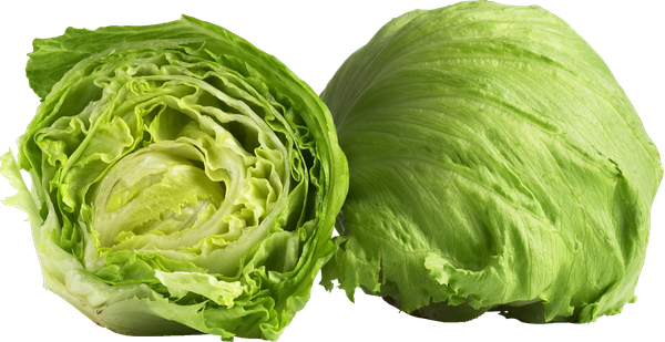 COOP ICEBERG