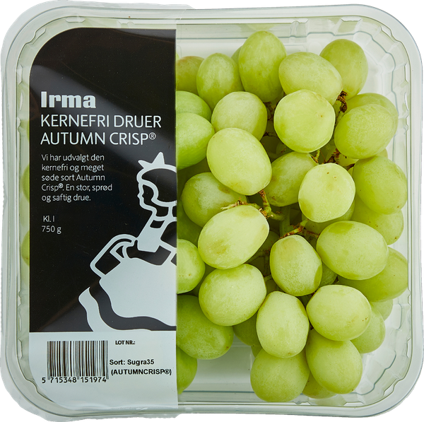 IRMA AUTUMN CRISP DRUER