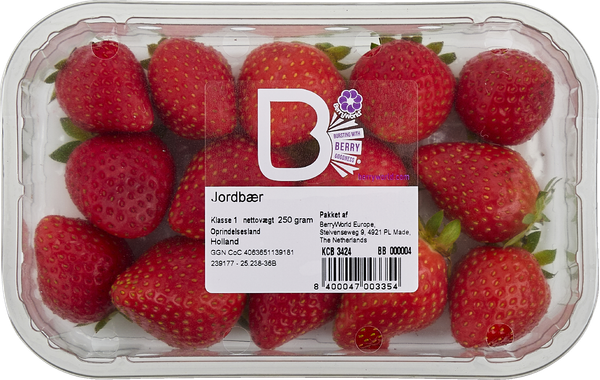 JORDBÆR – produktbillede