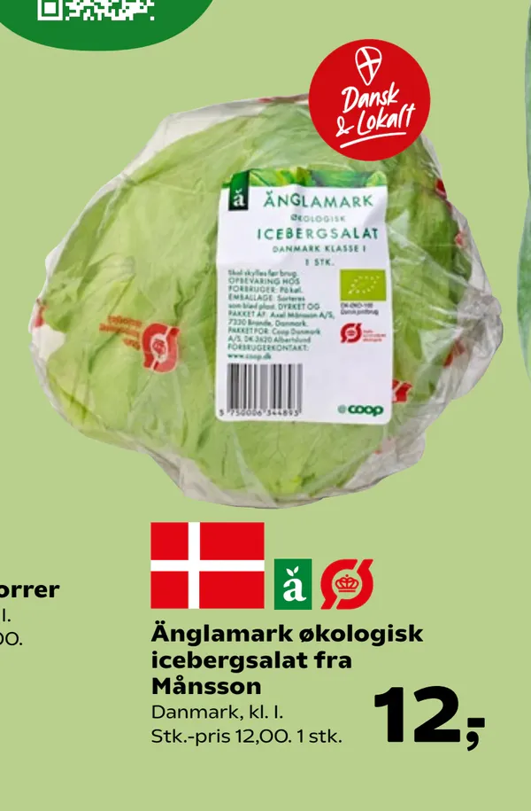 Økologisk Iceberg salat
