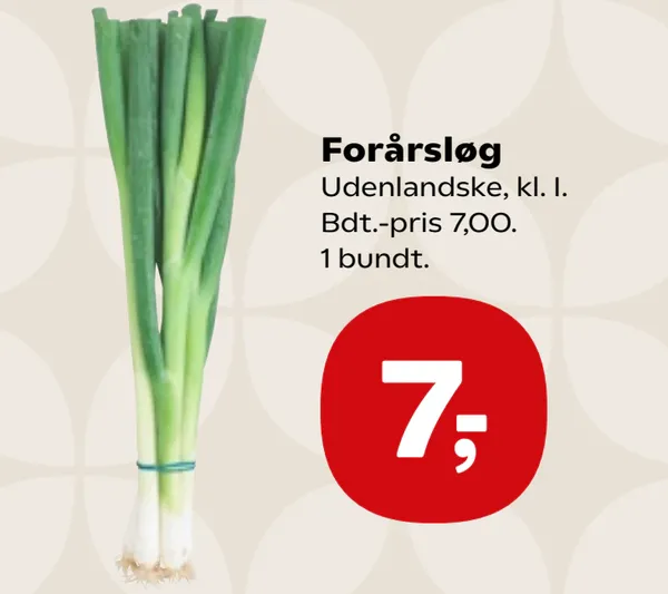 Forårsløg