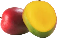 MANGO FLERE OPR. SE KASSEN – produktbillede
