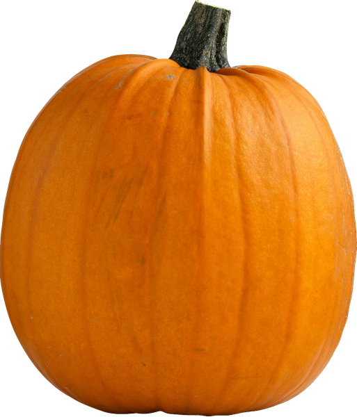COOP HALLOWEEN GRÆSKAR 3-7 KG