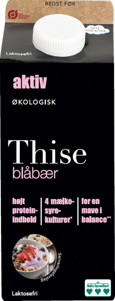 ØKO THISE AKTIV YOGHURT BLÅBÆR