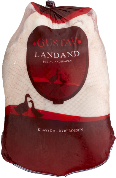GUSTAV LANDAND