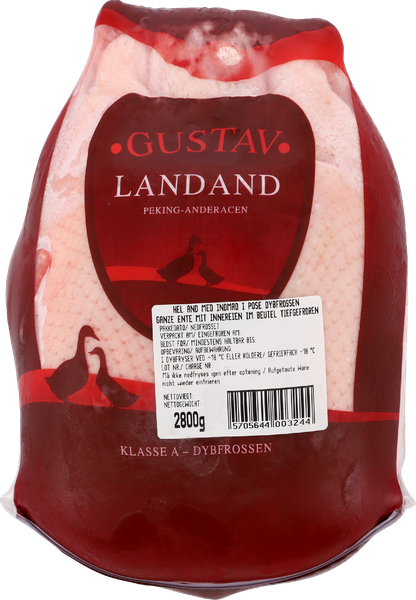 GUSTAV LANDAND