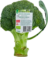 ØKO ÄNGLAMARK BROCCOLI – produktbillede