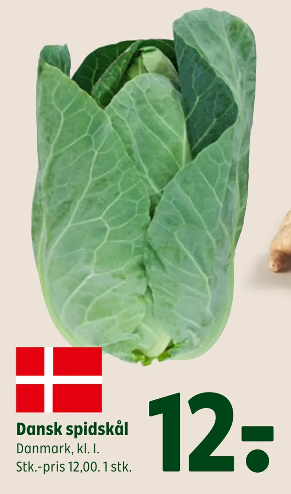 Dansk spidskål