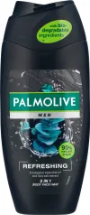 Palmolive Showergel Artic