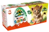 Kinderæg