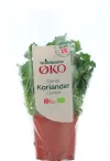Øko-Koriander (Gb)