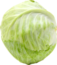 COOP HVIDKÅL 1500-3000 G – produktbillede