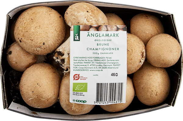ØKO ÄNGLAMARK BRUNE CHAMPIGNON – produktbillede
