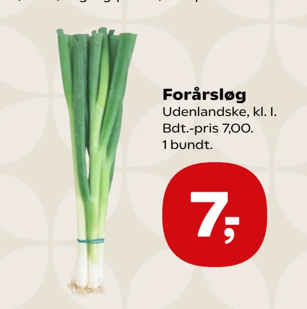 Forårsløg
